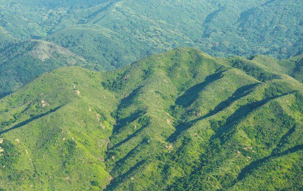 Come progettare una parete attrezzata per cucina che nasconda gli elettrodomestici?